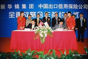 新華錦集團工作環(huán)境深度解析 進出口代理行業(yè)的職場體驗