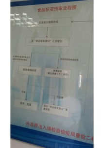 上海代理新西蘭果汁進口清關(guān)與進出口代理服務(wù)全解析