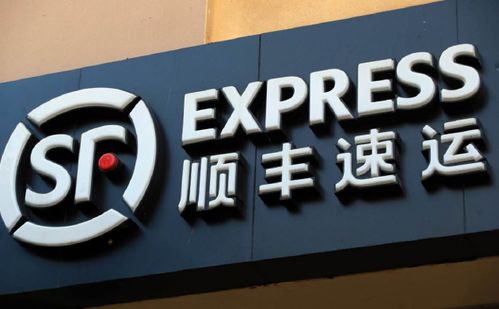 順豐速運公司執行董事變更與進出口代理業務影響分析