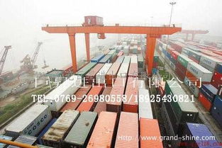 深圳皇崗報關(guān)行 巨升打造高質(zhì)量、透明費用的報關(guān)代理服務(wù)